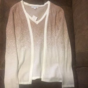 NWT Ombre Rose Gold Sweater